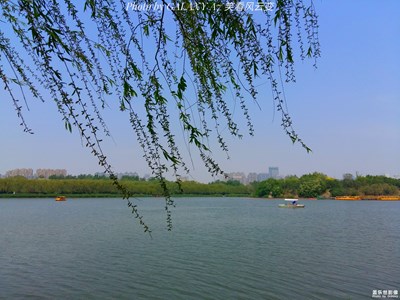 【春的記憶】+綠城 南湖春曉