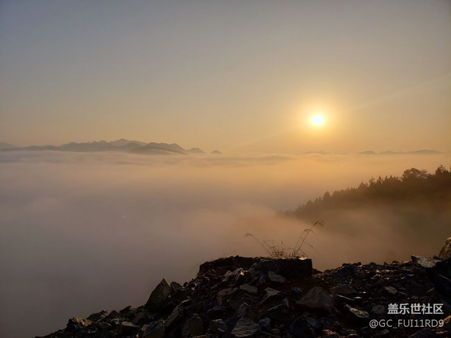 隨便拍攝的早晨