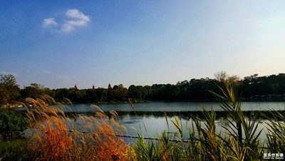 【緯度的色彩】+冬有四季色的天府成都