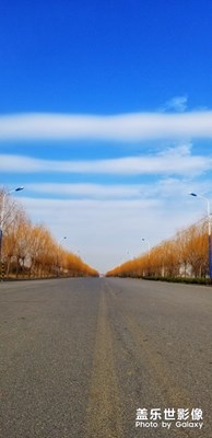 飄逸悠揚(yáng)+在路上