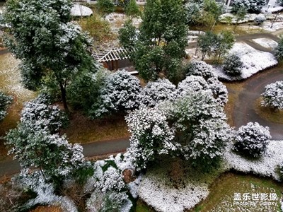 【緯度的色彩】+上海初雪