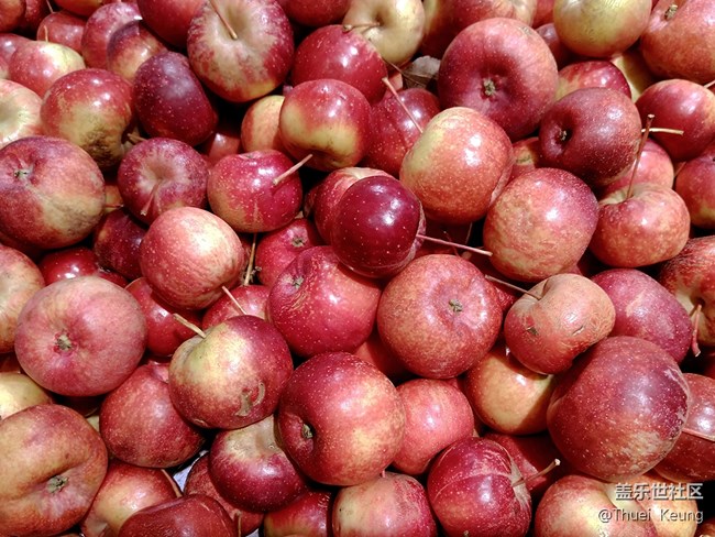 【A6s星粉體驗團】潮流單品—A6s體驗