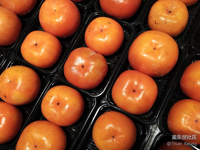 【A6s星粉體驗團】潮流單品—A6s體驗