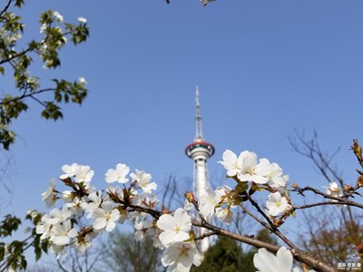 湖南株洲神農(nóng)城