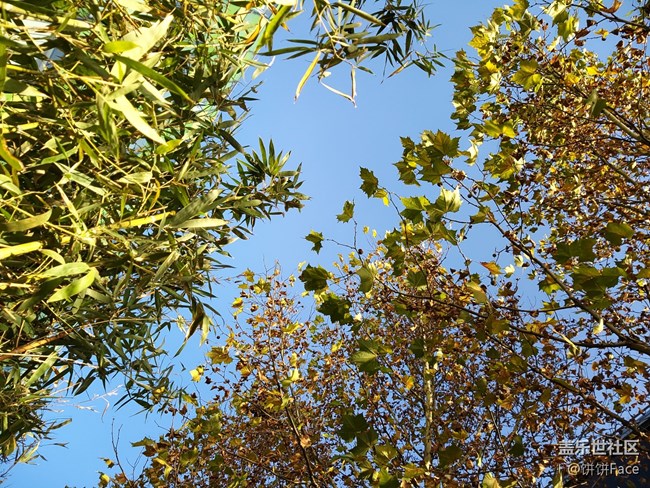 匠心獨(dú)具 慧眼識(shí)珠 三星Galaxy A8s全面評(píng)測(cè) 匠心獨(dú)具 慧眼識(shí)珠 三星Galaxy A8s全面評(píng)測(cè)