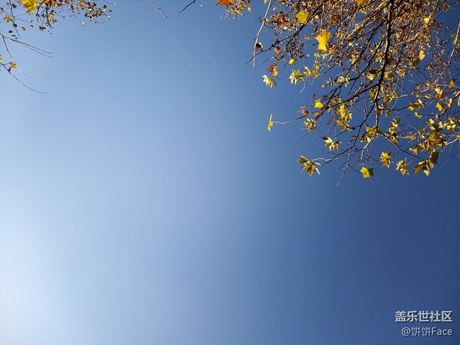 匠心獨(dú)具 慧眼識(shí)珠 三星Galaxy A8s全面評(píng)測(cè) 匠心獨(dú)具 慧眼識(shí)珠 三星Galaxy A8s全面評(píng)測(cè)