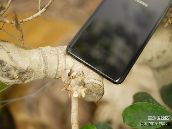 大視野 洞見未來 三星Galaxy A8s美圖賞