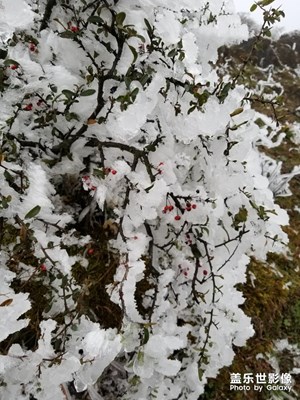 中國色彩－冬日美圖