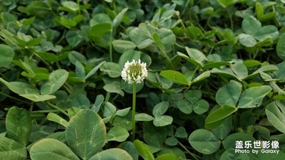 【回首2018】+青春依舊