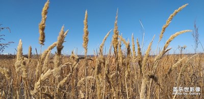 單位旁邊的影像