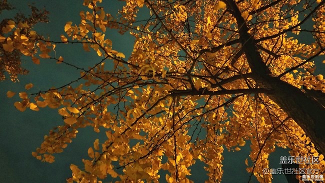 【126-127期：三星黑瞳全視屏 Galaxy A8s正式發(fā)布】