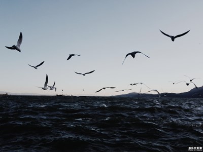 【回憶，2018！】二