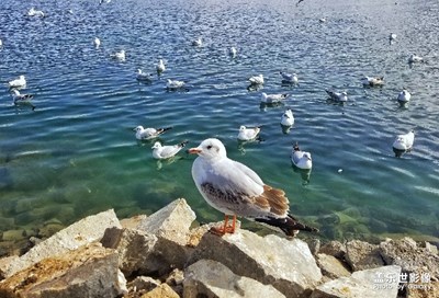 【回首2018】+ 又是一年