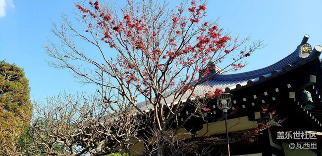 S9記錄下的 灌籃高手 中的鐮倉