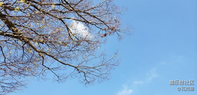 S9記錄下的 灌籃高手 中的鐮倉