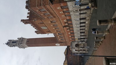 錫耶納-貝殼廣場(chǎng)隨拍4