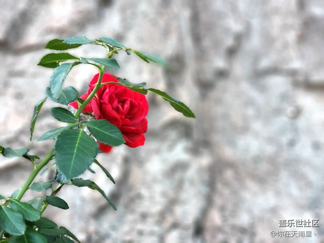 【2018我與三星的故事】2018我與三星親密接觸的那些故事 【2018我與三星的故事】2018我與三星親密接觸的那些故事