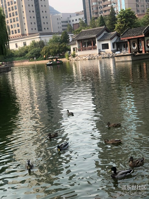 具有江南風(fēng)格的公園