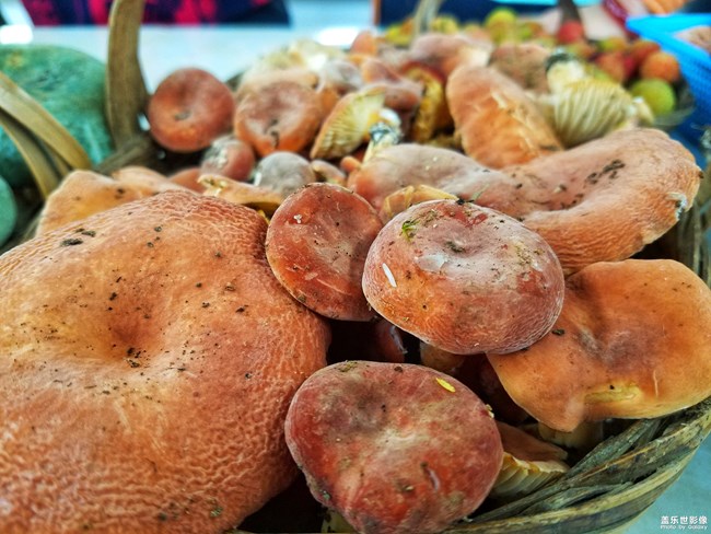 【手機里的美食】+鄉(xiāng)村的綠色食品