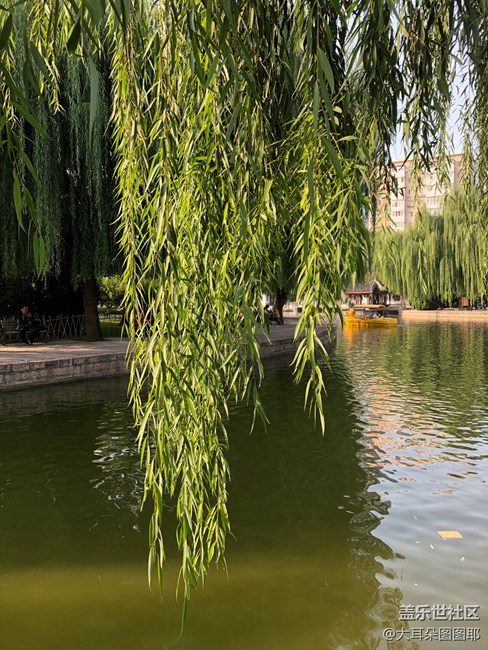 具有江南風(fēng)格的公園