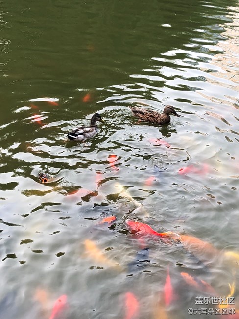 具有江南風(fēng)格的公園