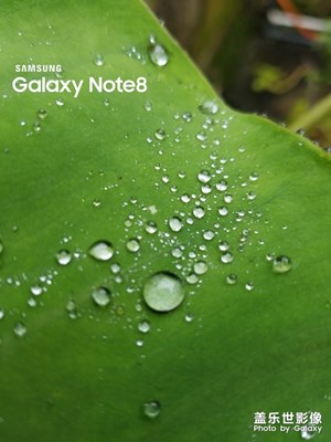 【回首2018】+陽光明媚的日子