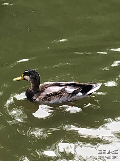 具有江南風(fēng)格的公園