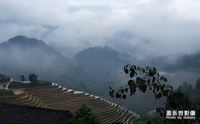 龍脊梯田印象