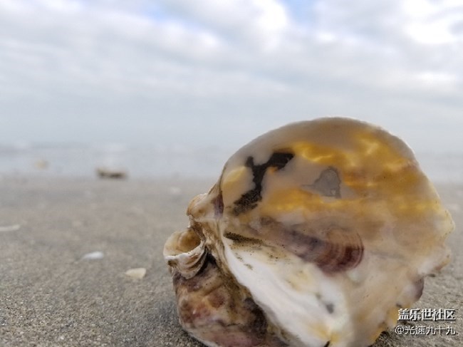 【2018我與三星的故事】訴說“那一年”的“風(fēng)塵往事” 【2018我與三星的故事】訴說“那一年”的“風(fēng)塵往事”