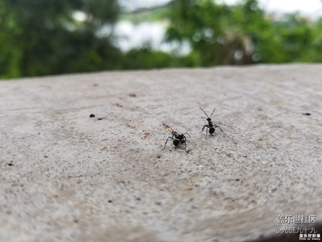 【2018我與三星的故事】訴說“那一年”的“風(fēng)塵往事” 【2018我與三星的故事】訴說“那一年”的“風(fēng)塵往事”