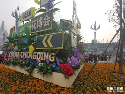 城市花博會