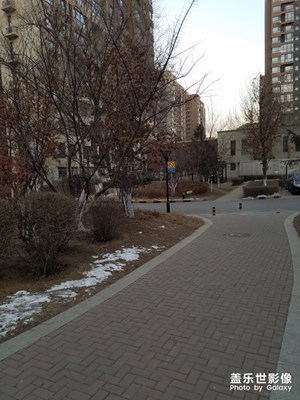 【2019嗨翻新年】+元旦串門