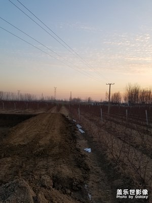 【2019嗨翻新年】+元旦也不閑著。。。