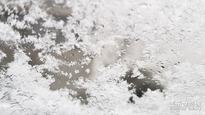 【定格瞬間】-蘇州的雪