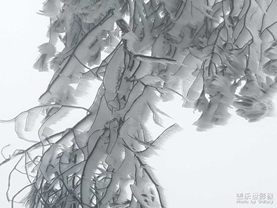 2018年第一場雪，多年不見啊