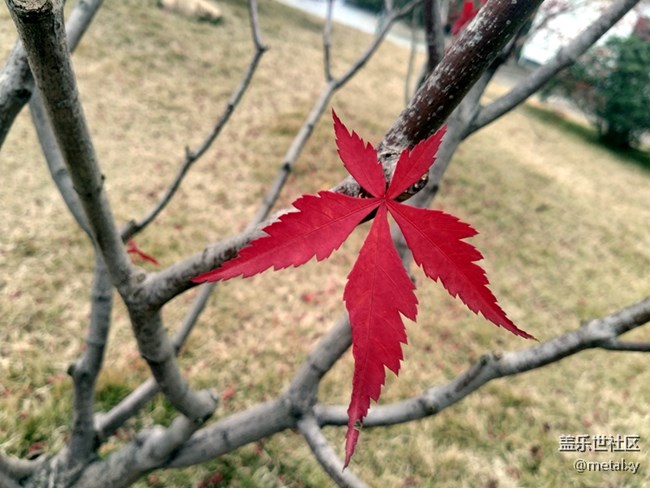 【A6s星粉體驗團】三星Galaxy A6s暢玩吃雞王者不卡頓