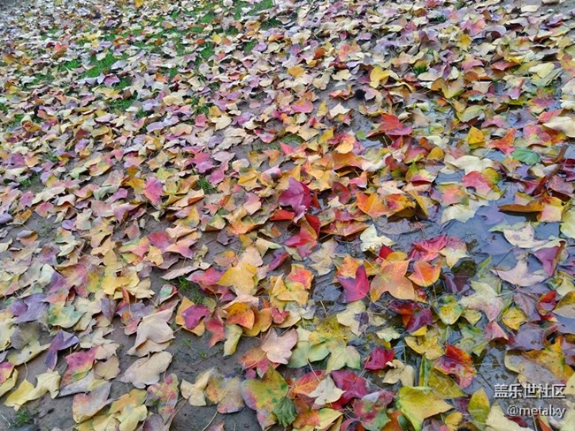 【A6s星粉體驗團】三星Galaxy A6s暢玩吃雞王者不卡頓