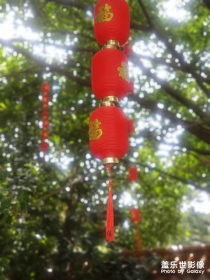 風(fēng)景這邊獨(dú)好