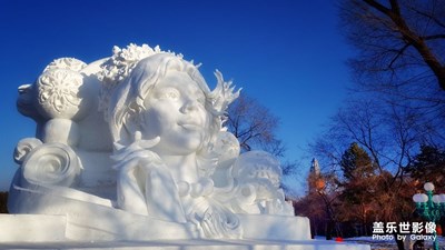 冰雪砌魂芳姿展
