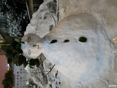 【2019嗨翻新年】瑞雪兆豐年