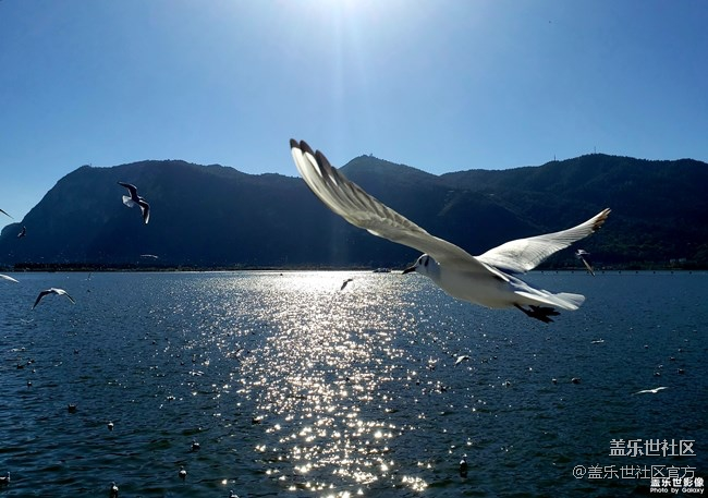 每周精帖匯【129期：跨年夜你在做什么呢？】