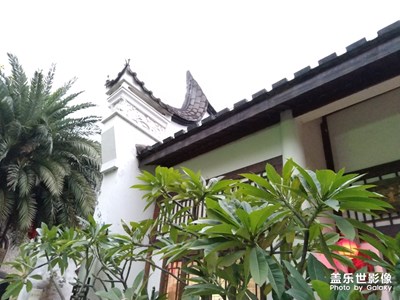 萬綠叢中一點(diǎn)紅