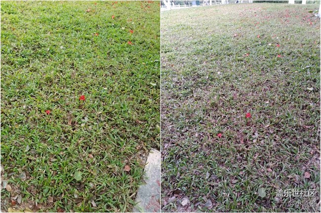 【A6s星粉體驗團(tuán)】三星A6s輕體驗（圖文）