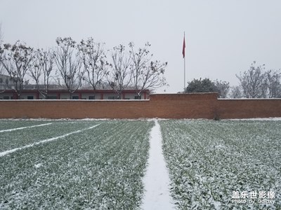 【開門紅】+紅磚墻、白雪、小麥苗