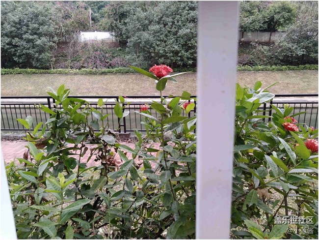 【A6s星粉體驗團(tuán)】三星A6s輕體驗（圖文）