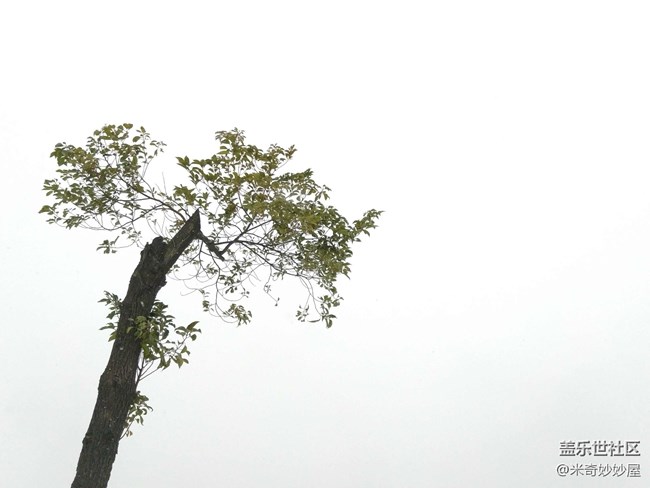 【A6s星粉體驗(yàn)團(tuán)】震驚！A6S竟然可以這樣！【創(chuàng)意】