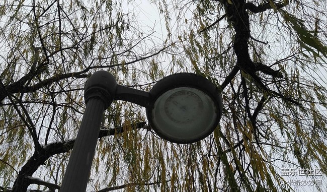 【A6s星粉體驗(yàn)團(tuán)】震驚！A6S竟然可以這樣！【創(chuàng)意】