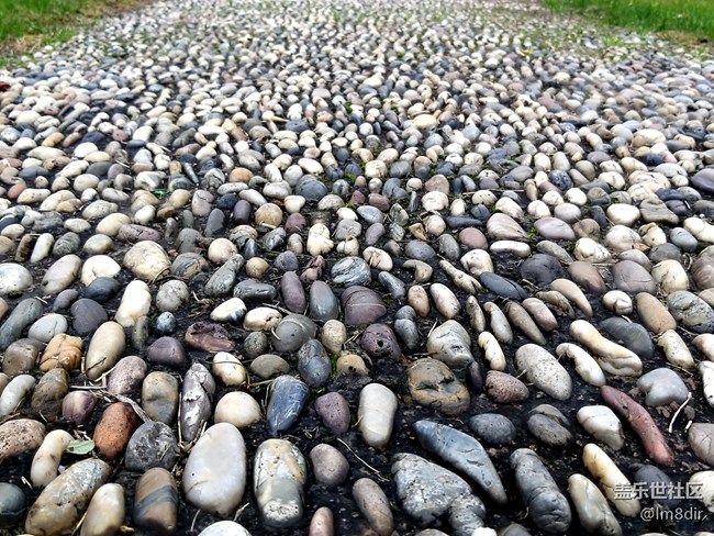 【A9s星粉體驗團】2019年的第一次玩機 魅力“四攝”三星A9s