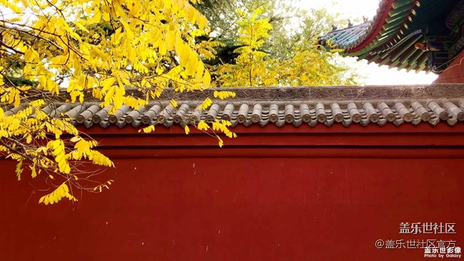 每周精帖匯【131期：CES2019三星電子驚喜連連】