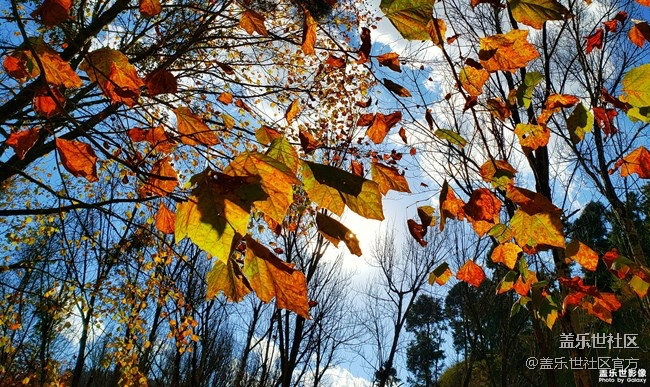 每周精帖匯【131期：CES2019三星電子驚喜連連】